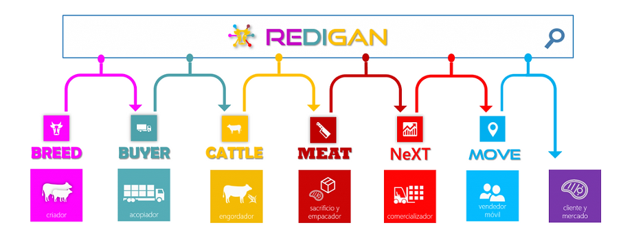 Flujo de procesos ganaderos REDIGAN