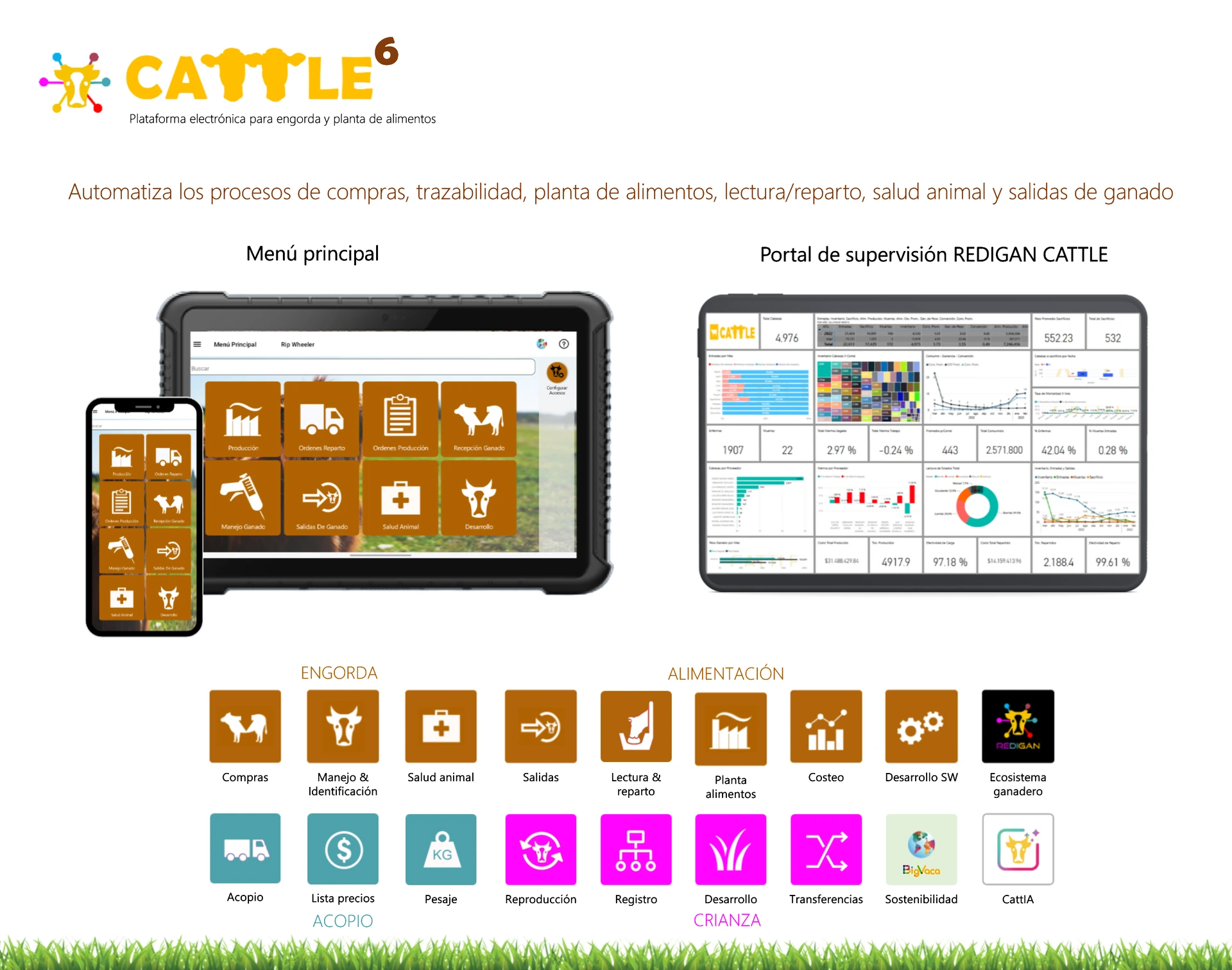 Portada Díptico CATTLE