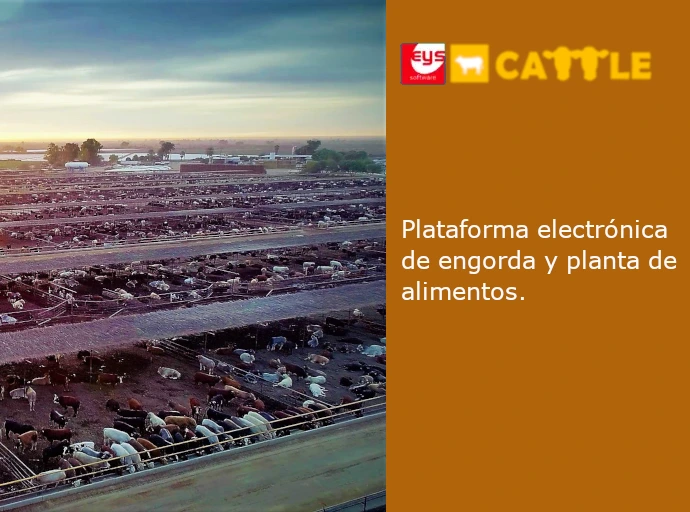 Portada Presentación CATTLE