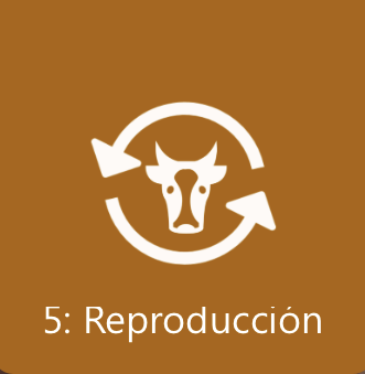MODULO 5 - Reproducción